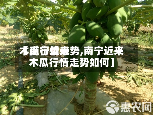 【南宁近来木瓜行情走势,南宁近来木瓜行情走势如何】