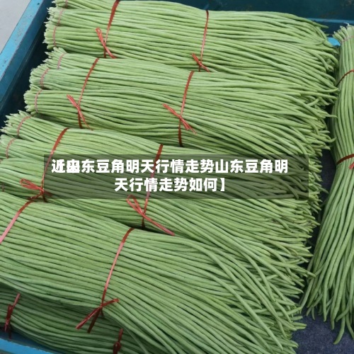 近来【山东豆角明天行情走势山东豆角明天行情走势如何】