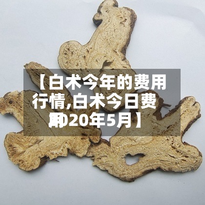 【白术今年的费用行情,白术今日费用2020年5月】-第2张图片