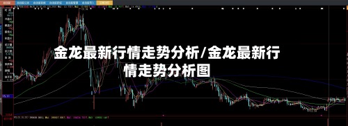 金龙最新行情走势分析/金龙最新行情走势分析图-第2张图片
