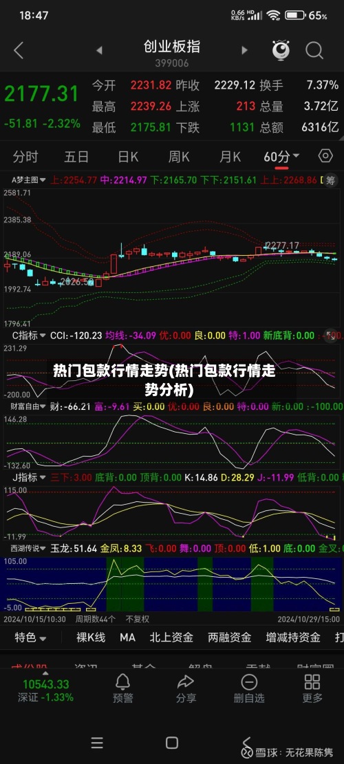 热门包款行情走势(热门包款行情走势分析)-第2张图片