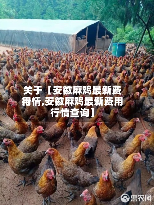 关于【安徽麻鸡最新费用
行情,安徽麻鸡最新费用
行情查询】
