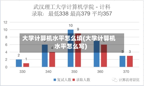 大学计算机水平怎么填(大学计算机水平怎么写)