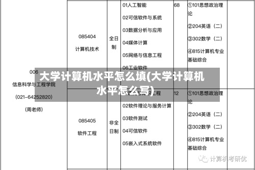 大学计算机水平怎么填(大学计算机水平怎么写)-第2张图片