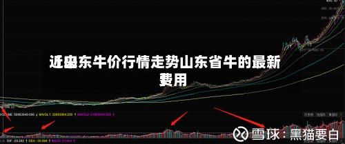 近来【山东牛价行情走势山东省牛的最新费用】
