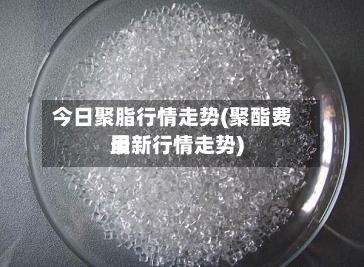 今日聚脂行情走势(聚酯费用
最新行情走势)