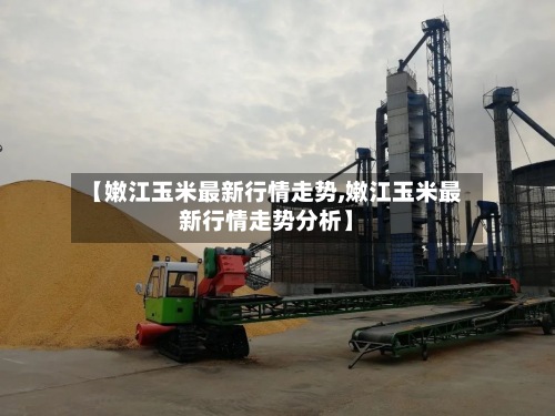 【嫩江玉米最新行情走势,嫩江玉米最新行情走势分析】