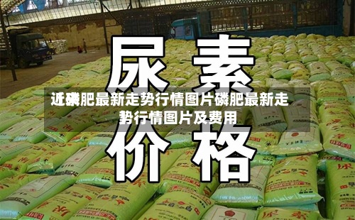 近来
【磷肥最新走势行情图片磷肥最新走势行情图片及费用
】