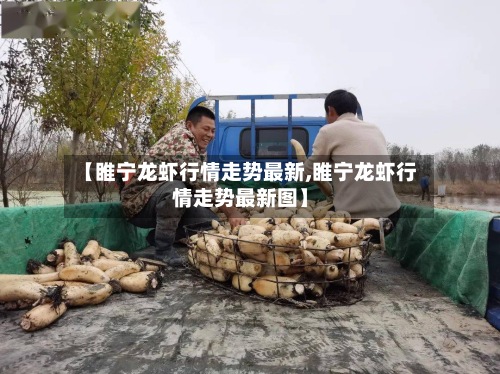 【睢宁龙虾行情走势最新,睢宁龙虾行情走势最新图】-第2张图片