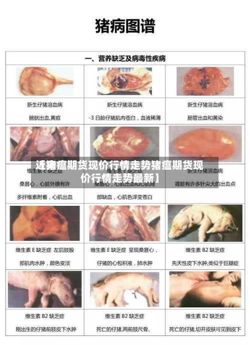 近来
【猪瘟期货现价行情走势猪瘟期货现价行情走势最新】-第3张图片