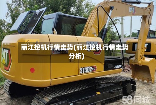 丽江挖机行情走势(丽江挖机行情走势分析)