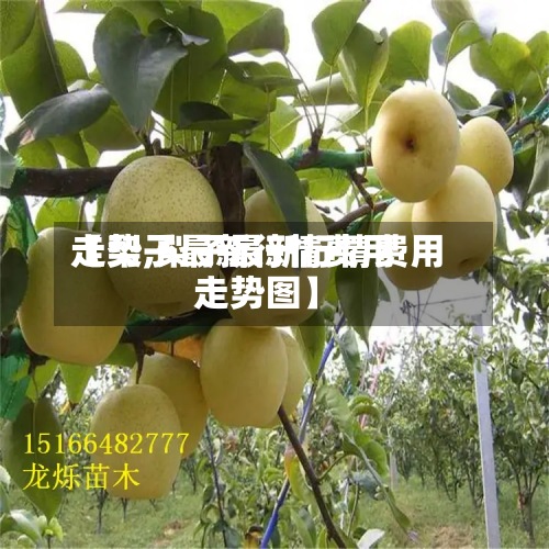 【梨子最新行情费用
走势,梨子最新行情费用
走势图】