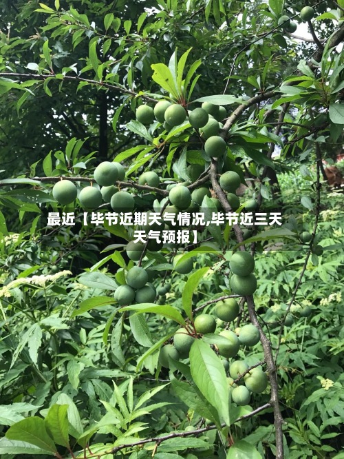 最近【毕节近期天气情况,毕节近三天天气预报】-第2张图片
