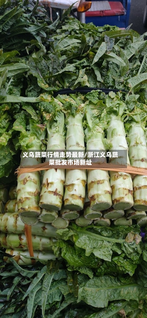 义乌蔬菜行情走势最新/浙江义乌蔬菜批发市场新址