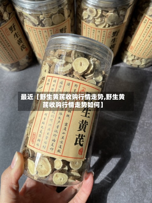 最近【野生黄芪收购行情走势,野生黄芪收购行情走势如何】-第2张图片