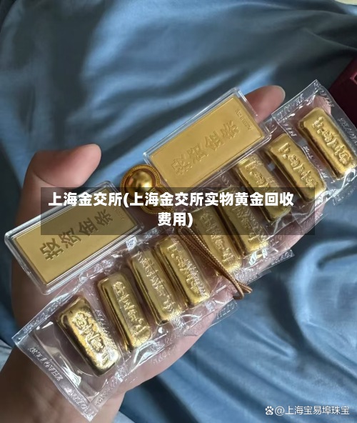 上海金交所(上海金交所实物黄金回收费用)