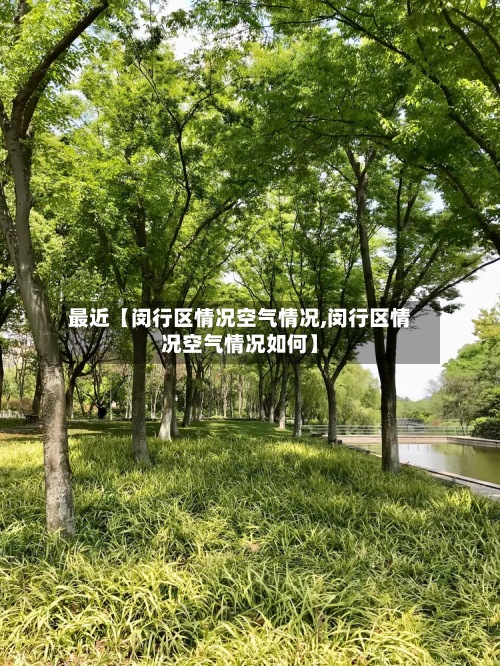 最近【闵行区情况空气情况,闵行区情况空气情况如何】