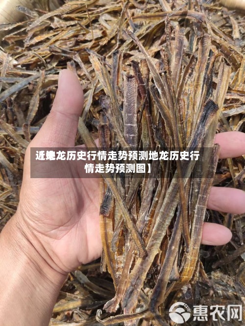 近来
【地龙历史行情走势预测地龙历史行情走势预测图】