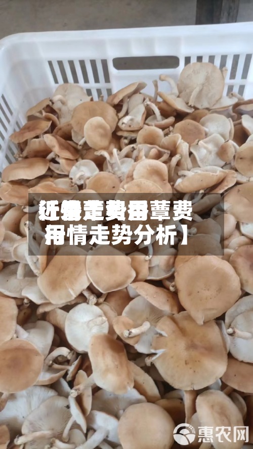 近来
【香蕈费用
行情走势香蕈费用
行情走势分析】-第2张图片