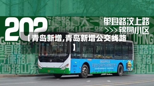 【青岛新增,青岛新增公交线路】