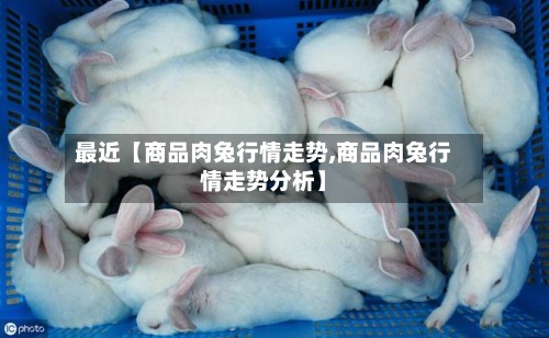 最近【商品肉兔行情走势,商品肉兔行情走势分析】
