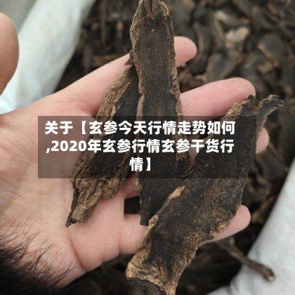 关于【玄参今天行情走势如何,2020年玄参行情玄参干货行情】