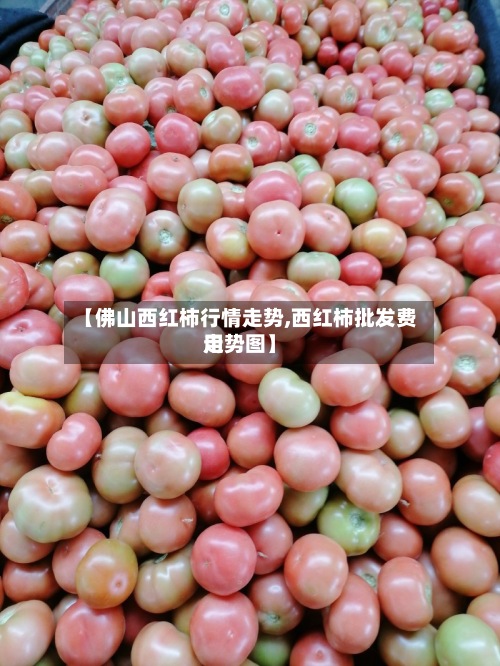 【佛山西红柿行情走势,西红柿批发费用
走势图】-第2张图片