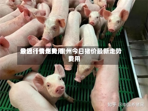 最近【贵州费用
今日行情走势,贵州今日猪价最新走势费用
】
