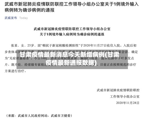 甘肃疫情最新消息今天新增病例(甘肃疫情最新通报数据)-第2张图片