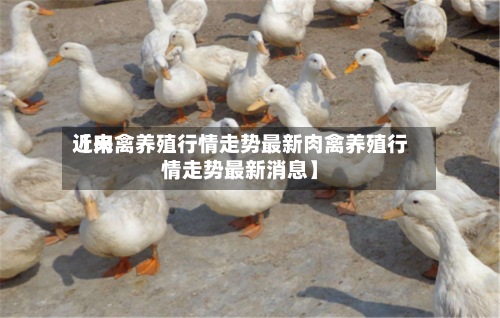 近来
【肉禽养殖行情走势最新肉禽养殖行情走势最新消息】