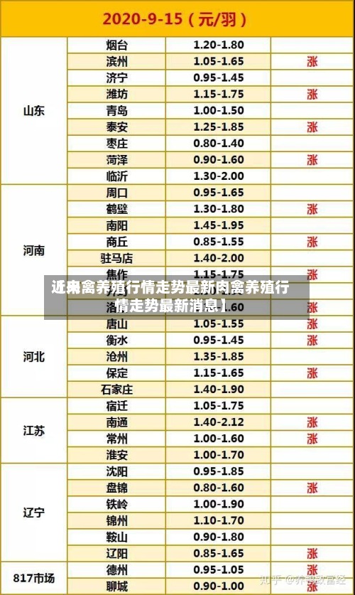 近来【肉禽养殖行情走势最新肉禽养殖行情走势最新消息】-第2张图片