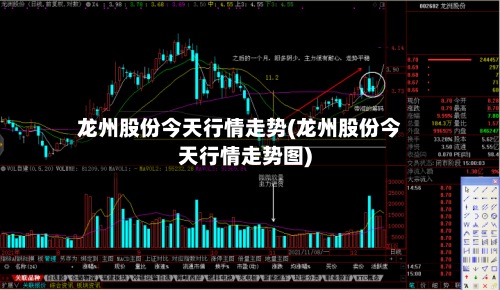 龙州股份今天行情走势(龙州股份今天行情走势图)