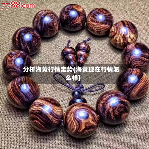 分析海黄行情走势(海黄现在行情怎么样)-第2张图片