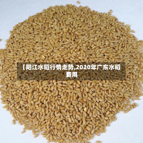 【阳江水稻行情走势,2020年广东水稻费用】-第2张图片