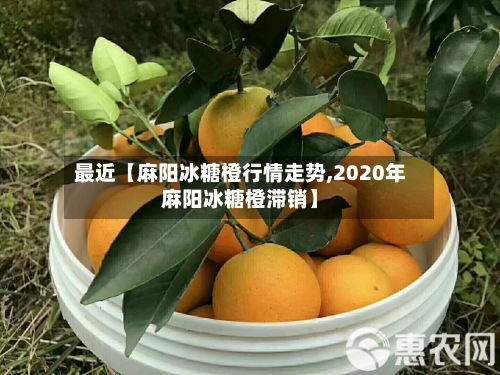 最近【麻阳冰糖橙行情走势,2020年麻阳冰糖橙滞销】