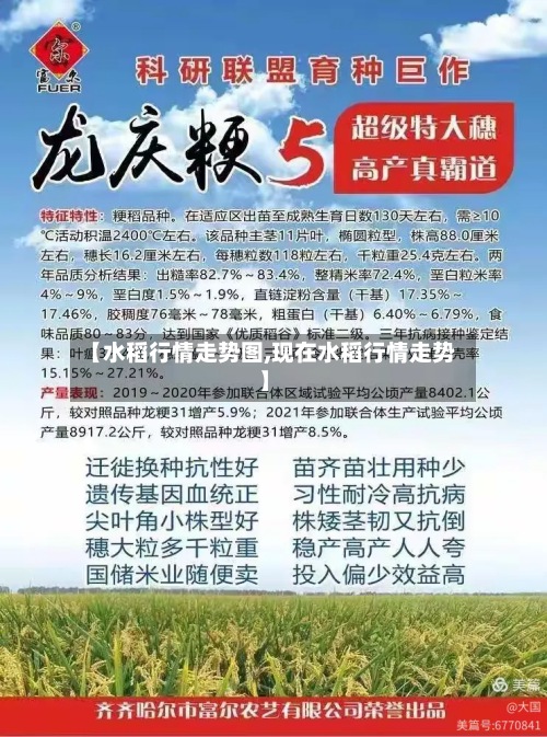 【水稻行情走势图,现在水稻行情走势】-第3张图片