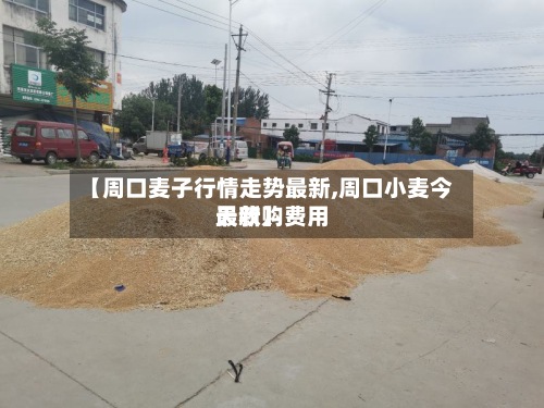【周口麦子行情走势最新,周口小麦今天收购费用
最新】-第2张图片