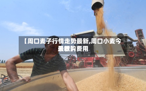 【周口麦子行情走势最新,周口小麦今天收购费用
最新】