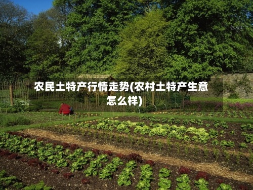 农民土特产行情走势(农村土特产生意怎么样)