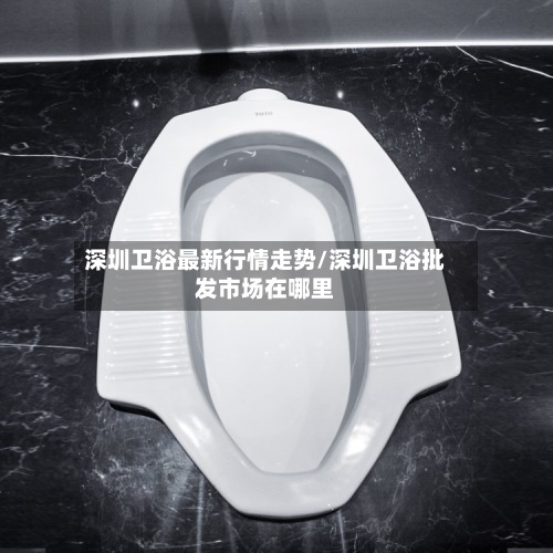 深圳卫浴最新行情走势/深圳卫浴批发市场在哪里