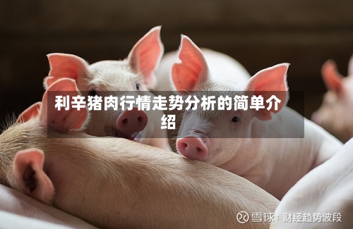 利辛猪肉行情走势分析的简单介绍