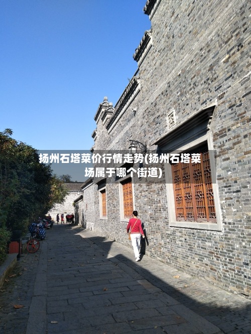 扬州石塔菜价行情走势(扬州石塔菜场属于哪个街道)-第3张图片