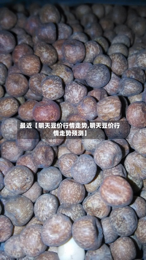最近【明天豆价行情走势,明天豆价行情走势预测】