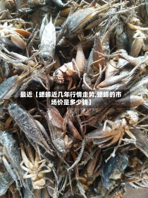 最近【蟋蟀近几年行情走势,蟋蟀的市场价是多少钱】