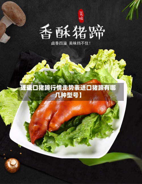近来【进口猪蹄行情走势表进口猪蹄有哪几种型号】-第3张图片