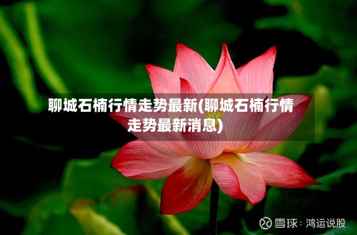 聊城石楠行情走势最新(聊城石楠行情走势最新消息)