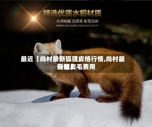 最近【尚村最新狐狸皮格行情,尚村最新貂皮毛费用
行情】
