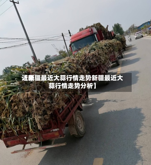 近来
【新疆最近大蒜行情走势新疆最近大蒜行情走势分析】-第2张图片