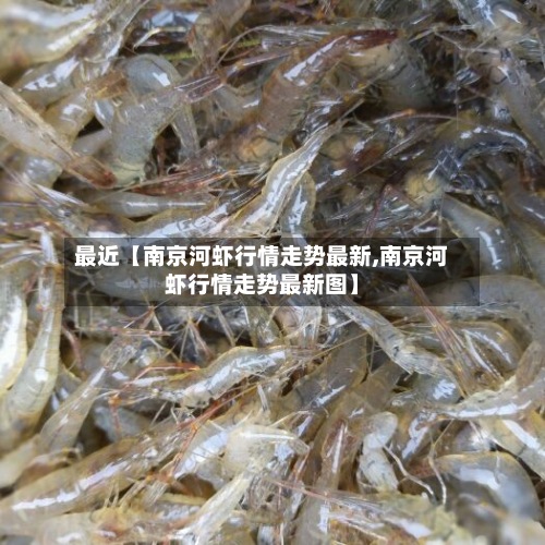最近【南京河虾行情走势最新,南京河虾行情走势最新图】-第3张图片
