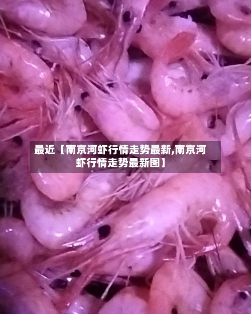 最近【南京河虾行情走势最新,南京河虾行情走势最新图】-第2张图片